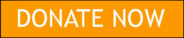Yellow Donate Now Button with border